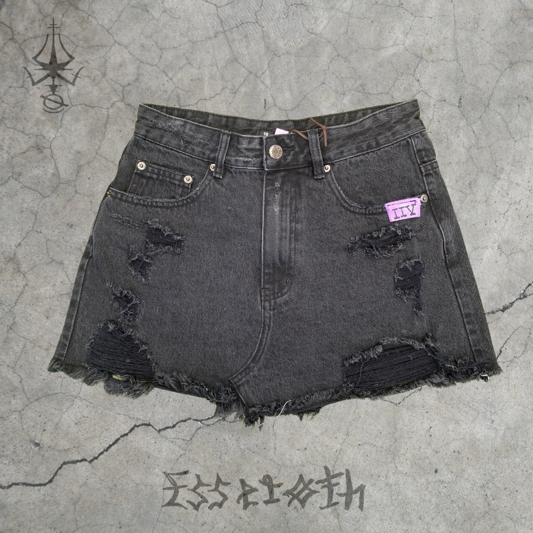 IIV Mini Skirt /1