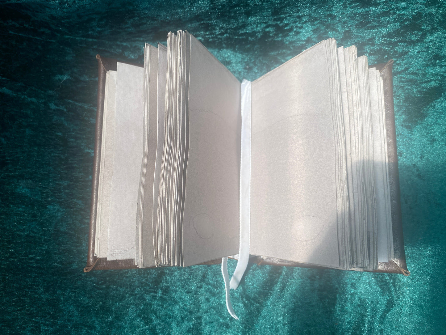 Level 2 Book (1/1) A6
